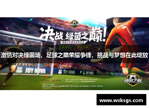 激情对决绿茵场，足球之巅荣耀争锋，挑战与梦想在此绽放